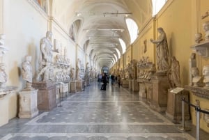 Vatican City: Papal Audience, Sistine Chapel, & Vatican Tour