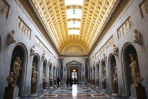 Visite guidée des musées du Vatican, de la chapelle Sixtine et de la basilique