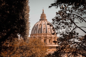 Vaticaanse Musea & Sixtijnse Kapel BASILICA OPTIONEEL