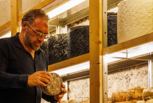 Viininmaistelu ja ruoan ja viinin yhdistelmät maanalaisessa kellarissa Roomassa