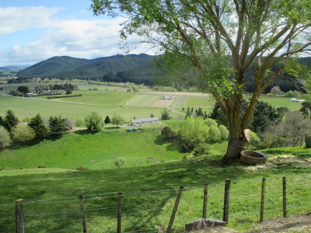 View Along Thermal Explorer Highway