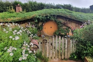 14-дневный тур по северной части Новой Зеландии для небольшой группы