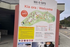 2 Días - HOBBITON, ROTORUA, TAUPO Y WAITOMO desde Auckland