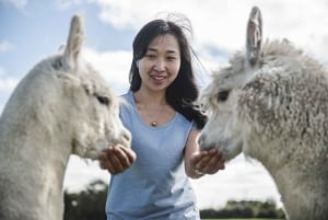 Best Family Activities In Rotorua