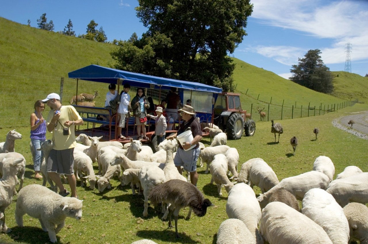 Best Family Activities In Rotorua