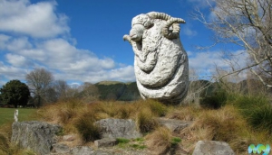 Best Family Activities In Rotorua