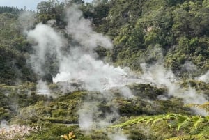 Auckland: Hobbiton Movie Set & Te Puia - Small Group Tour