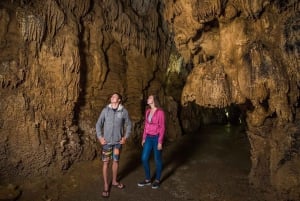 Auckland: Hobbiton, Waitomo Caves en Rotorua 1-daagse tour