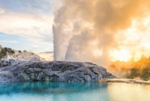 Auckland: Rotorua Highlights w TePuia & Secret Spot Hot Tubs