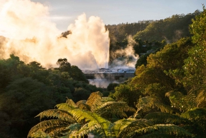 Auckland: Rotorua Day Tour inc Wai O Tapu & Te Puia Tour