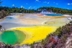 Auckland: Rotorua Day Tour inc Wai O Tapu & Te Puia Tour
