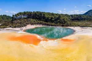 Auckland: Rotorua Day Tour inc Wai O Tapu & Te Puia Tour