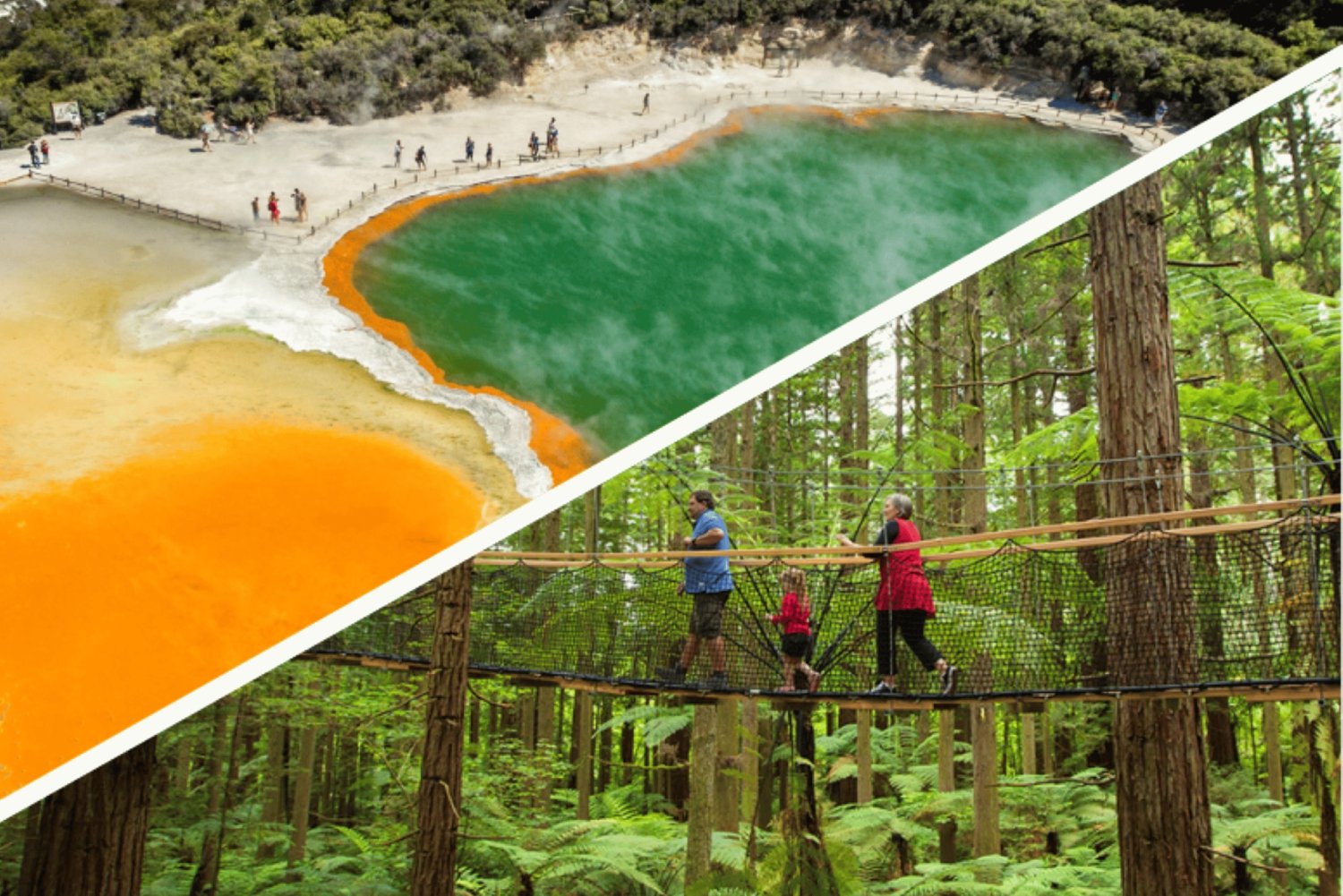 Auckland: Excursión de un día a Rotorua con WaiOTapu y Redwoods Treewalk