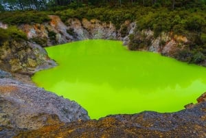 Auckland : Excursion d'une journée à Rotorua avec WaiOTapu et Redwoods Treewalk