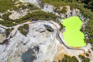 Auckland : Excursion d'une journée à Rotorua avec WaiOTapu et Redwoods Treewalk