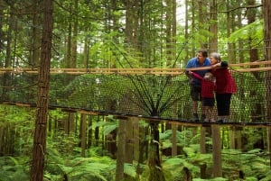 Auckland : Excursion d'une journée à Rotorua avec WaiOTapu et Redwoods Treewalk