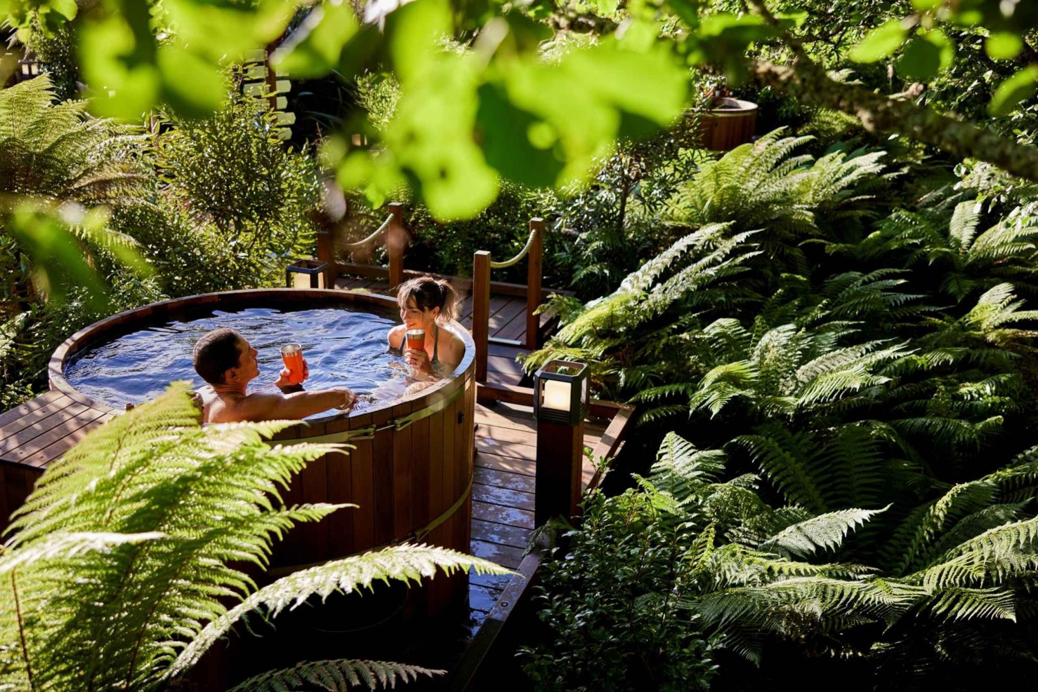Auckland: Excursión de un día a Rotorua con paseo por los bosques de secuoyas y jacuzzis