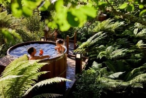 Auckland : Excursion d'une journée à Rotorua avec promenade dans les arbres de Redwoods et bains à remous
