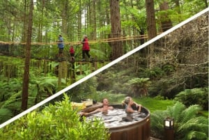 Auckland : Excursion d'une journée à Rotorua avec promenade dans les arbres de Redwoods et bains à remous