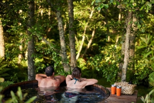 Auckland : Excursion d'une journée à Rotorua avec promenade dans les arbres de Redwoods et bains à remous