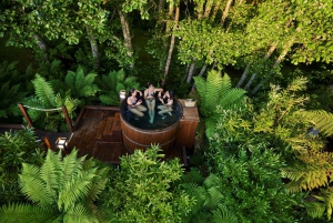 Auckland : Excursion d'une journée à Rotorua avec promenade dans les arbres de Redwoods et bains à remous