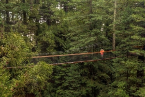 Окленд: Однодневный тур в Роторуа с Redwoods Treewalk & Spa