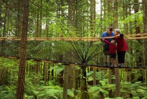 Окленд: Однодневный тур в Роторуа с Redwoods Treewalk & Spa