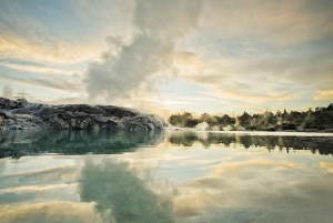 Auckland: Rotorua dagtour met Te Puia & Polynesian Spa