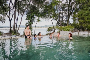 Auckland: Rotorua dagtour met Te Puia & Polynesian Spa
