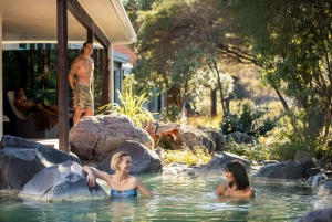 Auckland: Rotorua dagtour met Te Puia & Polynesian Spa