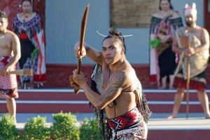 Auckland: Rotorua Highlights with Te Puia Tour, Show & Lunch