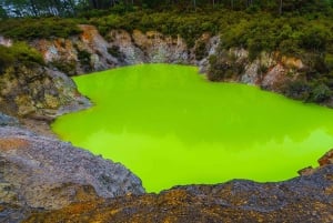 Auckland: Rotorua Highlights Tour with Wai-O-Tapu & Hot Tubs