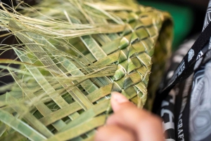 Auckland: Najważniejsze atrakcje Rotorua z wycieczką do Te Puia, pokazem i lunchem