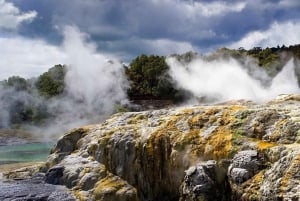 Auckland: Excursión a la aldea maorí de Rotorua con haka y almuerzo