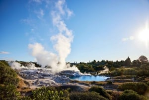 Auckland: Rotorua Maori-dorp en Waitomo-grotten met lunch