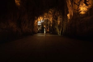 Auckland: Rotorua Maori-dorp en Waitomo-grotten met lunch