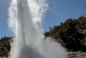 Auckland: Rotorua Wai-O-Tapu & Aktivitätskombinationen