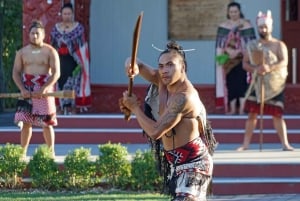 Auckland: Rotorua, Wai-O-Tapu ja Taupo 2 päivän yksityinen kiertue