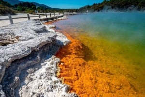 Auckland: Rotorua Wai-O-Tapu, Te Puia with Haka
