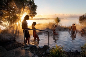 Auckland to Rotorua Small Group Tour & Activity Add-Ons