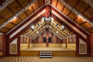 Auckland to Rotorua Small Group Tour & Activity Add-Ons