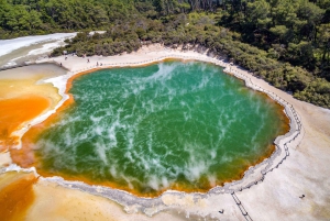 Auckland till Rotorua tur i liten grupp & Tillval av aktiviteter