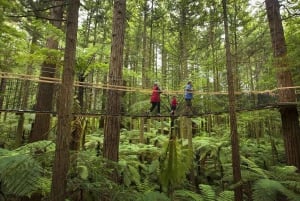 Auckland: gorące źródła Wai Ariki i sekwoje w Rotorua