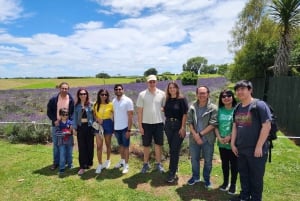 Auckland: gorące źródła Wai Ariki i sekwoje w Rotorua