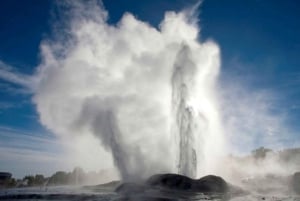Auckland: Waitomo Caves & Rotorua – Te Puia Kleingruppentour