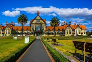 Best of Rotorua: Private Walking Tour with a Local