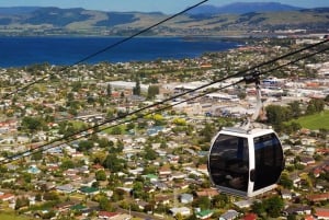 Best of Rotorua: Private Walking Tour with a Local