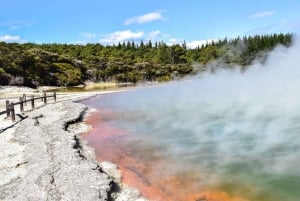 Best of Rotorua: Private Walking Tour with a Local