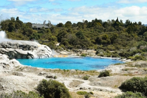 Best of Rotorua: Private Walking Tour with a Local
