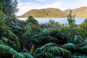 Best of Rotorua: Private Walking Tour with a Local
